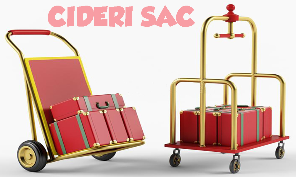 Carretillas para Hoteles